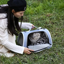 Load image into Gallery viewer, Pet Outing Portable Cat Dogs Handbag Summer Breathable Carrier Travel Puppy Kitten Single Shoulder Bag Pet Carrying Bag Supplie
