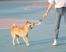Load image into Gallery viewer, Pet Dog Toys for Large Small Dogs Toy Interactive Cotton Rope Mini Dog Toys Ball for Dogs Accessories Toothbrush Chew Puppy Toy
