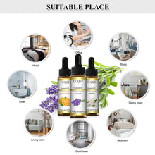Load image into Gallery viewer, EUQEE Natural Plant Essential Oil 10ml
