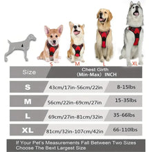 Load image into Gallery viewer, Complete Dog Collar Harness Set
