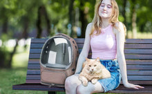 Load image into Gallery viewer, Transparent Pet Carrier Backpack Outdoor Travel Essential for Cats Small Dogs Breathable Design Comfortable Premium Pet Supplies
