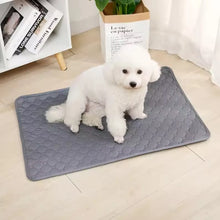 Load image into Gallery viewer, Reusable Washable Pee Training Pad

