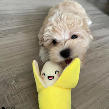 Load image into Gallery viewer, A 7-piece set of puppy sound toys, loose plush pet chewing, plush fruit snacks and vegetable puppy toys, suitable for pet play
