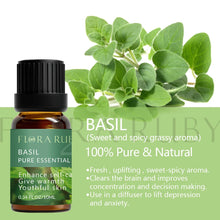 Load image into Gallery viewer, 36 Natural Aromatherapy Essential Oils
