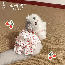 Load image into Gallery viewer, Pet Dress for Dogs &amp; Cats - Layered Cake Style Printed Clothes, Small Medium Breed Apparel, Adorable Summer Outfit
