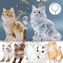 Load image into Gallery viewer, New Cat Hair Storage Keychain Bag Pendant Transparent Pet Fur Keepsake Capsule Souvenir Collection Gift Decoration Accessories
