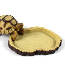 Load image into Gallery viewer, Pet Reptile Feeder Bowl Basin Resin Non-Toxic Food Water Pot Turtles Tortoise Scorpion Lizards Crabs for Pets Feeding Tray
