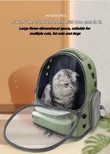Load image into Gallery viewer, Transparent Pet Carrier Backpack Outdoor Travel Essential for Cats Small Dogs Breathable Design Comfortable Premium Pet Supplies

