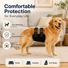 Load image into Gallery viewer, Pet Physiological Pants Outdoor Anti Harassment Safety Pants Comfortable Breathable Teddy Golden Retriever Male Dog Universal
