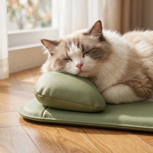 Load image into Gallery viewer, New Pet Bed with Pillow Removable and Washable Pet Mats All-Season Soft Cushion for Dogs and Cats Pet Supplies
