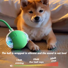 Load image into Gallery viewer, Smart Automatic Rolling Dog Ball
