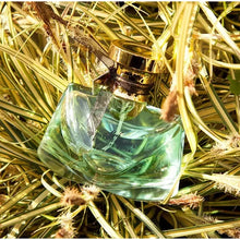 Load image into Gallery viewer, Beloved Perfume, Elegant Charm Perfume,romantic Floral Scent Body Spray, Long-lasting Classic Charming Light Fragrance Spray
