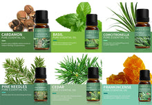 Load image into Gallery viewer, 36 Natural Aromatherapy Essential Oils
