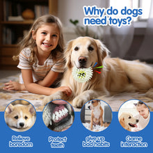 Load image into Gallery viewer, Pet dog toy, rubber tennis ball, prick ball, squeaking, grinding teeth, relieving boredom, accompanying various dogs of all size
