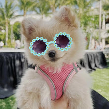 Load image into Gallery viewer, Pet Accessories Flower Sunglasses Circular Role Playing Glasses Photo Props Glasses For Cats And Small And Paracord Dog Leash
