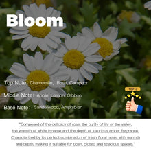 Load image into Gallery viewer, Hotel Aroma Fragrance Essential Oil

