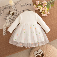 Load image into Gallery viewer, Floral Mesh Princess Baby Dress
