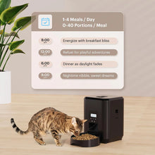 Load image into Gallery viewer, Smart Pet Feeder Automatic Cat Feeder Dog Slow Food Machine With Timed Quantitative Automatic Cat Food Dispenser Cat Dog Bowl
