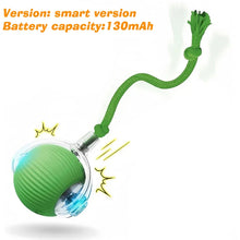 Load image into Gallery viewer, Smart Automatic Rolling Dog Ball
