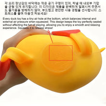 Load image into Gallery viewer, Cute Duck Antistress Fidget Toy
