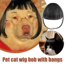 Load image into Gallery viewer, Cat Wig Accessories Dog Headdress Funny Costume Puppy Cosplay Dress Up Cute Pet Wig Cosplay Funny Props Puppy Costumes Supplies
