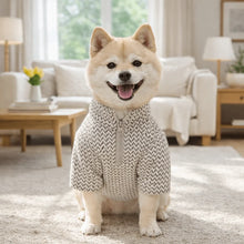 Load image into Gallery viewer, Zipper Ripple Pet Pullover Hoodie
