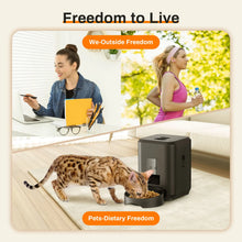 Load image into Gallery viewer, Smart Pet Feeder Automatic Cat Feeder Dog Slow Food Machine With Timed Quantitative Automatic Cat Food Dispenser Cat Dog Bowl
