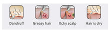 Load image into Gallery viewer, Tea Tree Handmade Shampoo Soap
