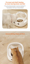 Load image into Gallery viewer, New Petoneer NutriCare Feeder Tailored For Multi-Pet Households Pet feeder Cat And Dog Feeder With App
