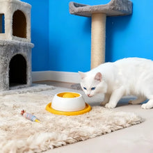 Load image into Gallery viewer, Pet Feeding Accessories Dog Treat Toy Puzzle Toys For Bored Puppy Slow Feeder Puppy Supplies For Healthy Eating Food Crate
