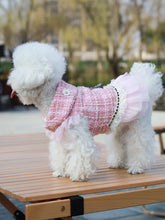 Load image into Gallery viewer, Dog clothes Princess Dress &amp; Jacket For Pets, Suitable For Poodle, Maltese, Yorkshire Terrier In Spring And Autumn
