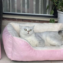 Load image into Gallery viewer, Cats Bed Dog Mat Beds Goods Pet Puppy Accessories All Products Kitten Cushions Things Accessory Houses Habitats House Supplies
