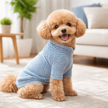 Load image into Gallery viewer, Zipper Ripple Pet Pullover Hoodie
