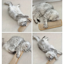 Load image into Gallery viewer, Durable Cat Toy Pillow and Scratching Pad - Chew-Resistant, Teething Bed Cover Style Cat Bed, Soft and Mosquito-Repelling
