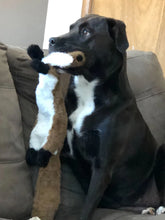 Load image into Gallery viewer, Funny Simulated Animal No Stuffing Dog Toy with Squeakers Durable Stuffingless Plush Squeaky Dog Chew Toy Crinkle Pet Squeak Toy
