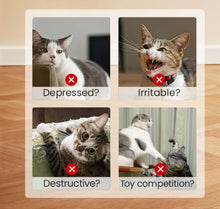 Load image into Gallery viewer, Cat Toys Fish,Teeth Grinding Catnip Toys,Soft and Durable,Kitten Toys Interactive Sounding Cat Chew Bite Plush Toys Cat Supplie

