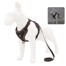 Load image into Gallery viewer, Harness and Leash Set Pet Accessories Dog Harness For Small Dog French Bulldog Pug Pitbull Puppy Pectoral Collar Chiens Supplies
