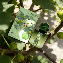 Load image into Gallery viewer, Meto Clouds Mist Perfume Spray Lady Body Fragrance Fresh Elegant Scent Floral Fruity Notes Daily Wear Office Dating Pocket Size
