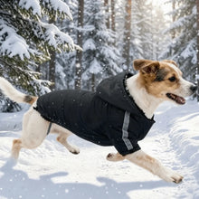 Load image into Gallery viewer, Windproof Reflective Winter Dog Coat
