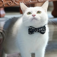 Load image into Gallery viewer, Pet Stuff Accesories Cats Items Detachable Collar Series Accessories Dogs Collars Guides Supplies Leash Kittens Pets
