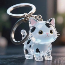 Load image into Gallery viewer, New Cat Hair Storage Keychain Bag Pendant Transparent Pet Fur Keepsake Capsule Souvenir Collection Gift Decoration Accessories
