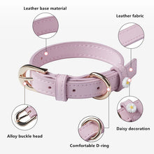 Load image into Gallery viewer, Cute Dog Accessories PU Leather Pet Collar Daisy Decoration Alloy Buckle Head Traction Rope Neck Loop for Cat Teddy Schnauzer
