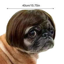 Load image into Gallery viewer, Pet Wig Accessories Dog Headdress Funny Costume Puppy Cosplay Dress Up Cute Pet Wig Cosplay Funny Props Head Accessories
