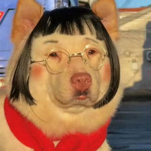 Load image into Gallery viewer, Cat Wig Accessories Dog Headdress Funny Costume Puppy Cosplay Dress Up Cute Pet Wig Cosplay Funny Props Puppy Costumes Supplies
