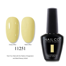 Load image into Gallery viewer, NAILCO 2025 Hot 15ML Gel Nail Polish Nails Semi-permanent UV Varnish High Quality Glass Bottle Nail Art Polish For Manicure
