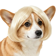 Load image into Gallery viewer, Pet Wig Accessories Dog Headdress Funny Costume Puppy Cosplay Dress Up Cute Pet Wig Cosplay Funny Props Head Accessories
