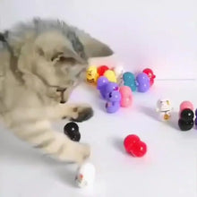 Load image into Gallery viewer, 10pcs Cat Rolling Toy for Indoor Use. Self-rolling Cat Toy. No Batteries Required. Random Designs. Lightweight Cat Puzzle Toy.
