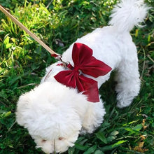 Load image into Gallery viewer, Pet Accessories Adjustable Pet Harness Cute Bow Breathable Dog Chest Strap Escape-Proof Comfort Cat Leash for Dogs Puppy Rabbit
