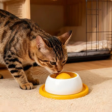 Load image into Gallery viewer, Pet Feeding Accessories Dog Treat Toy Puzzle Toys For Bored Puppy Slow Feeder Puppy Supplies For Healthy Eating Food Crate
