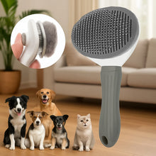Load image into Gallery viewer, Dog Grooming Brush with Easy Clean Button, Pet Massage Comb for Effective Detangling and Hair Removal, Suitable for Dogs
